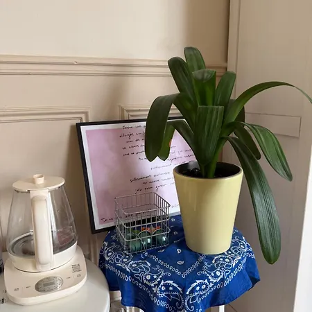 Live Like A Local ! Cosy And Calm 35sqm Parisian Style Paris
